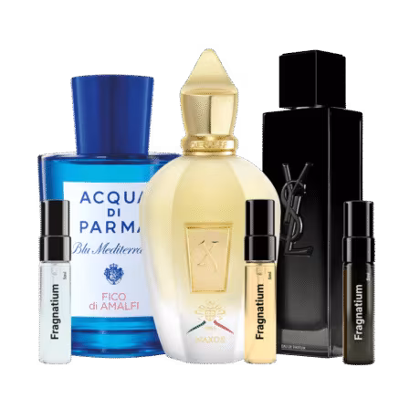 Day to Night Trio For Him fragrance decant
