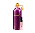 Intense Cafe fragrance decant